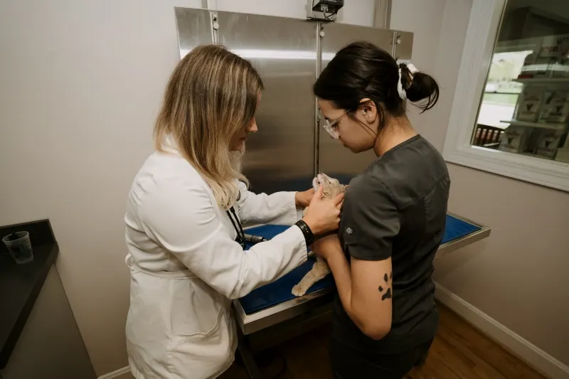 Emergency Department