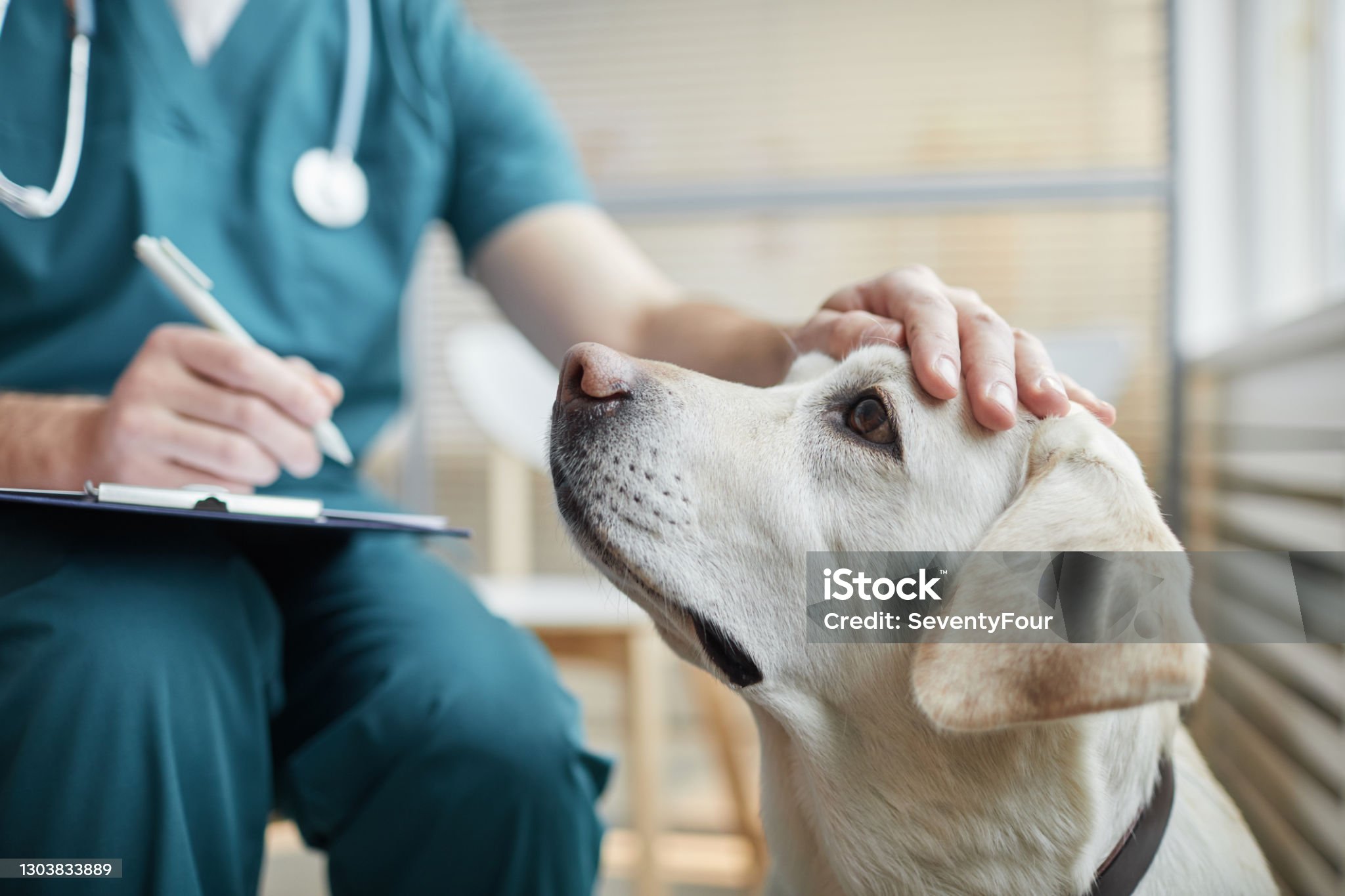 Healthcare Professional